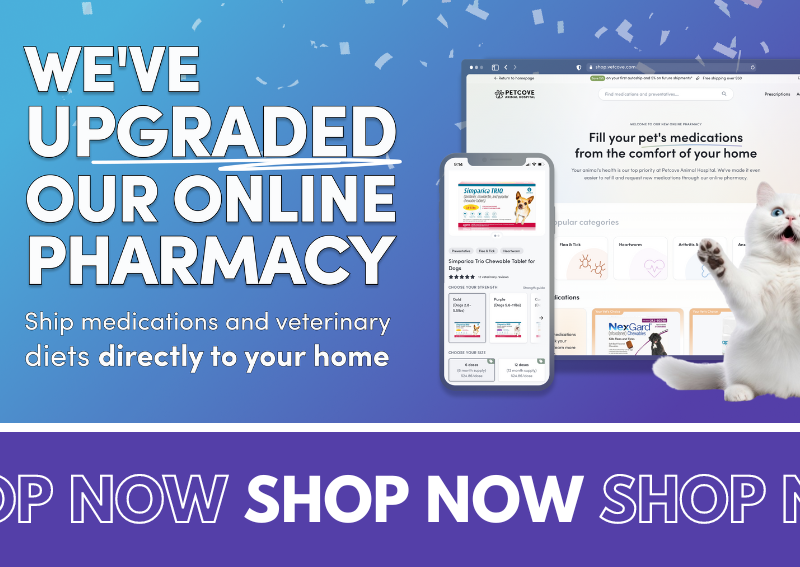 Carousel Slide 2: Shop our online pharmacy >